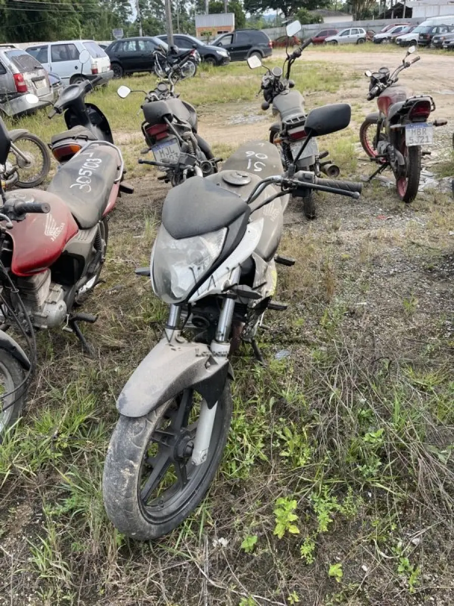 LOTE 0408