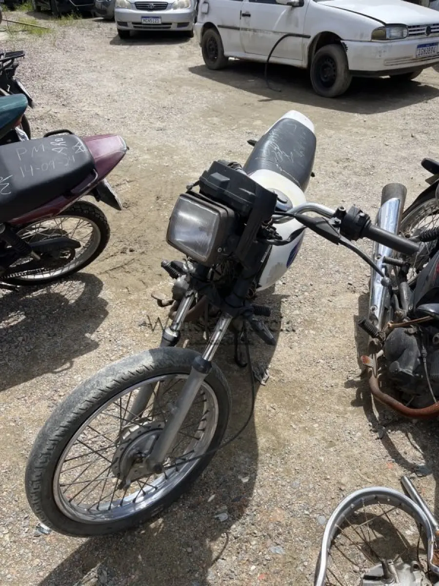 LOTE 0248