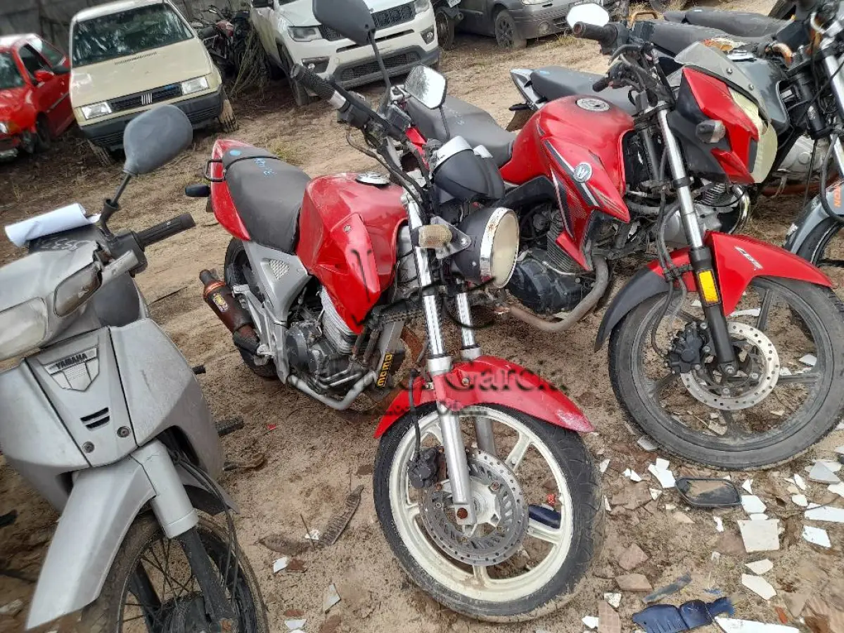 LOTE 0220