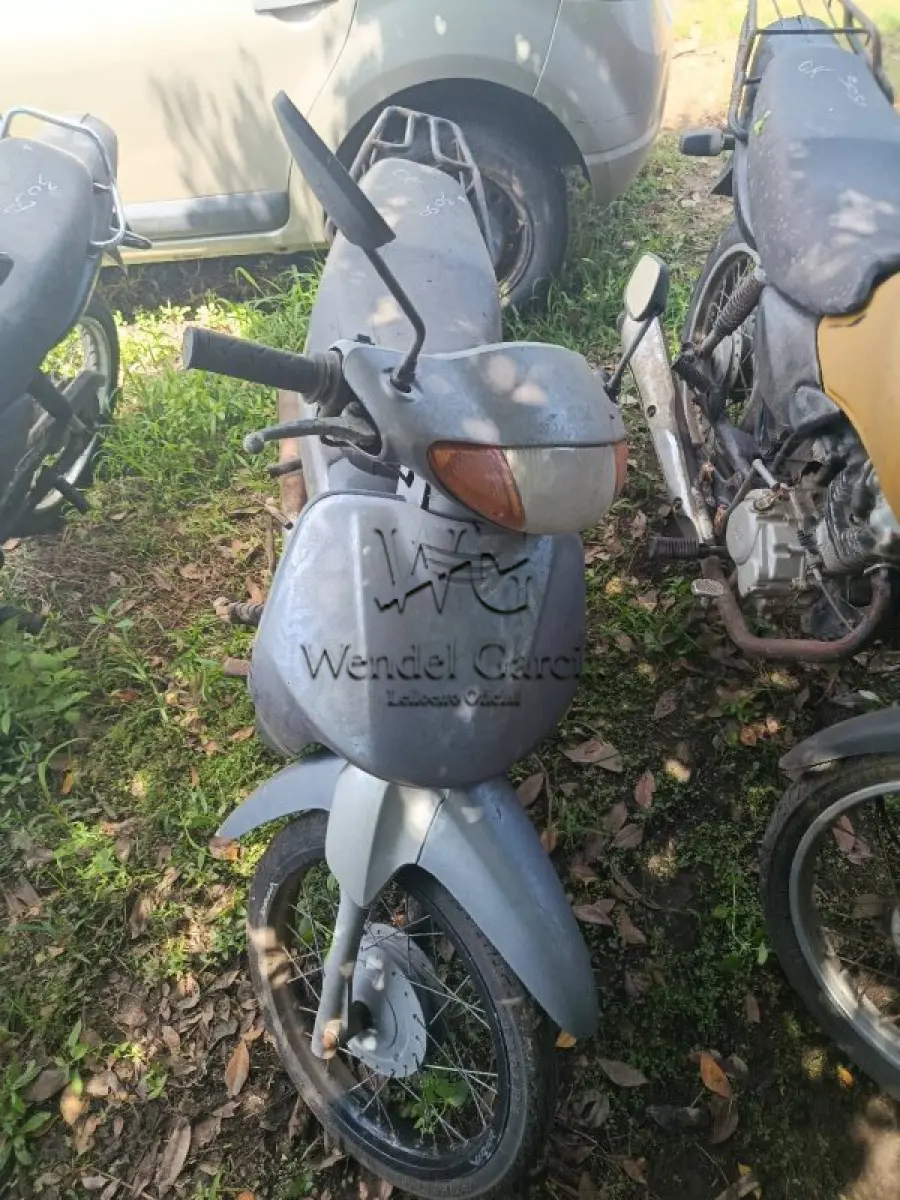LOTE 0233
