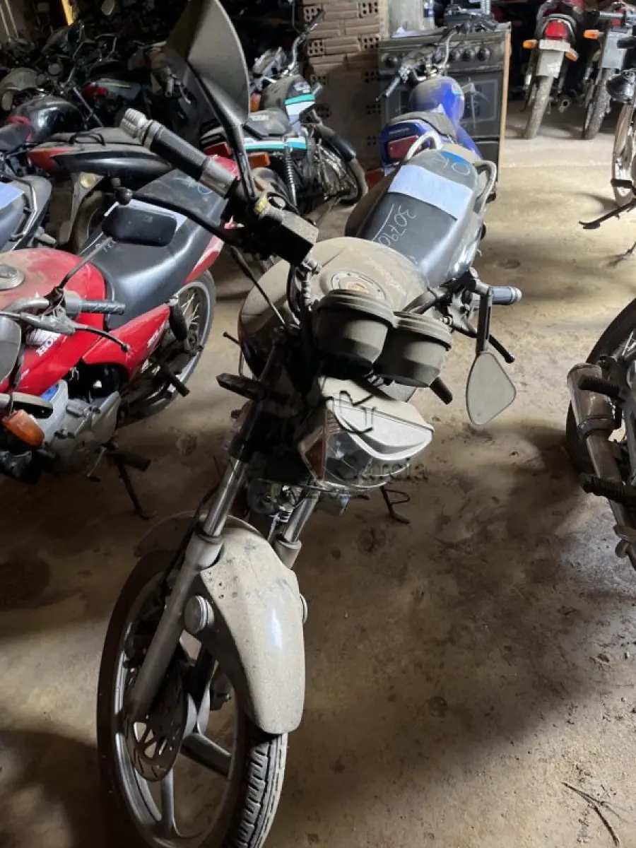 LOTE 0369