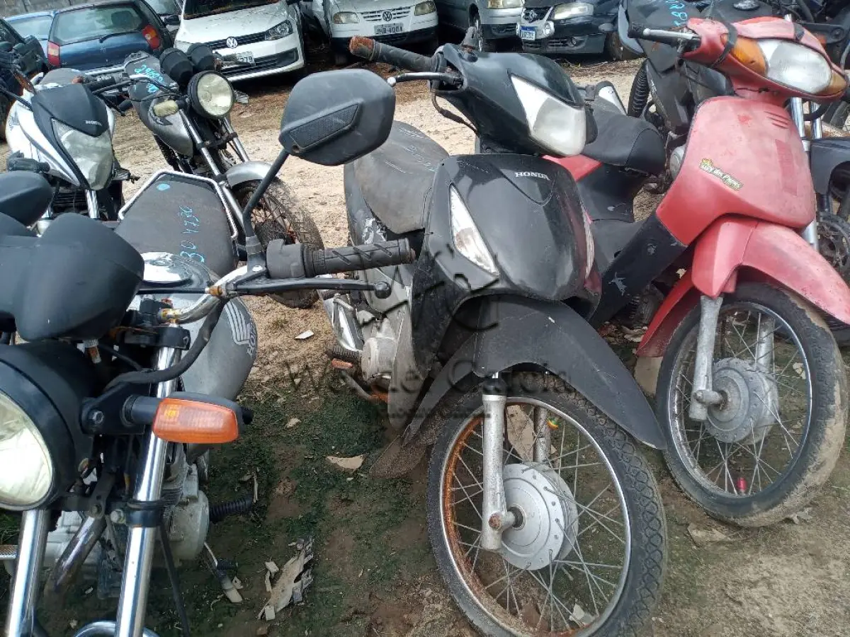 LOTE 0225