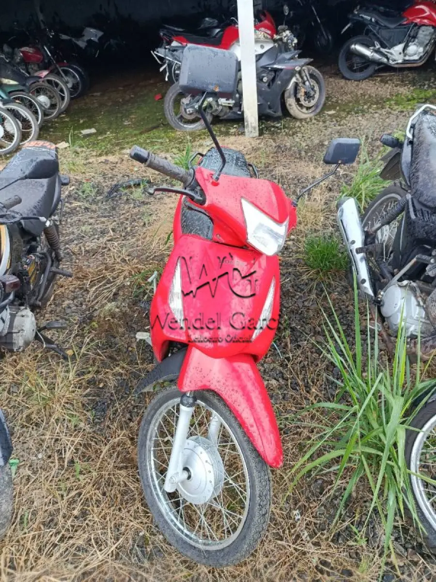 LOTE 0300
