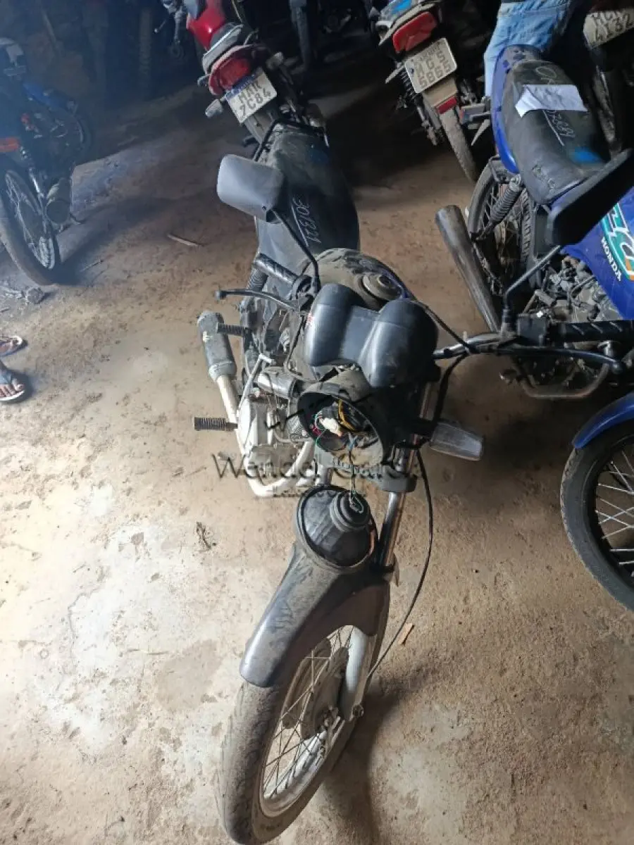 LOTE 0236