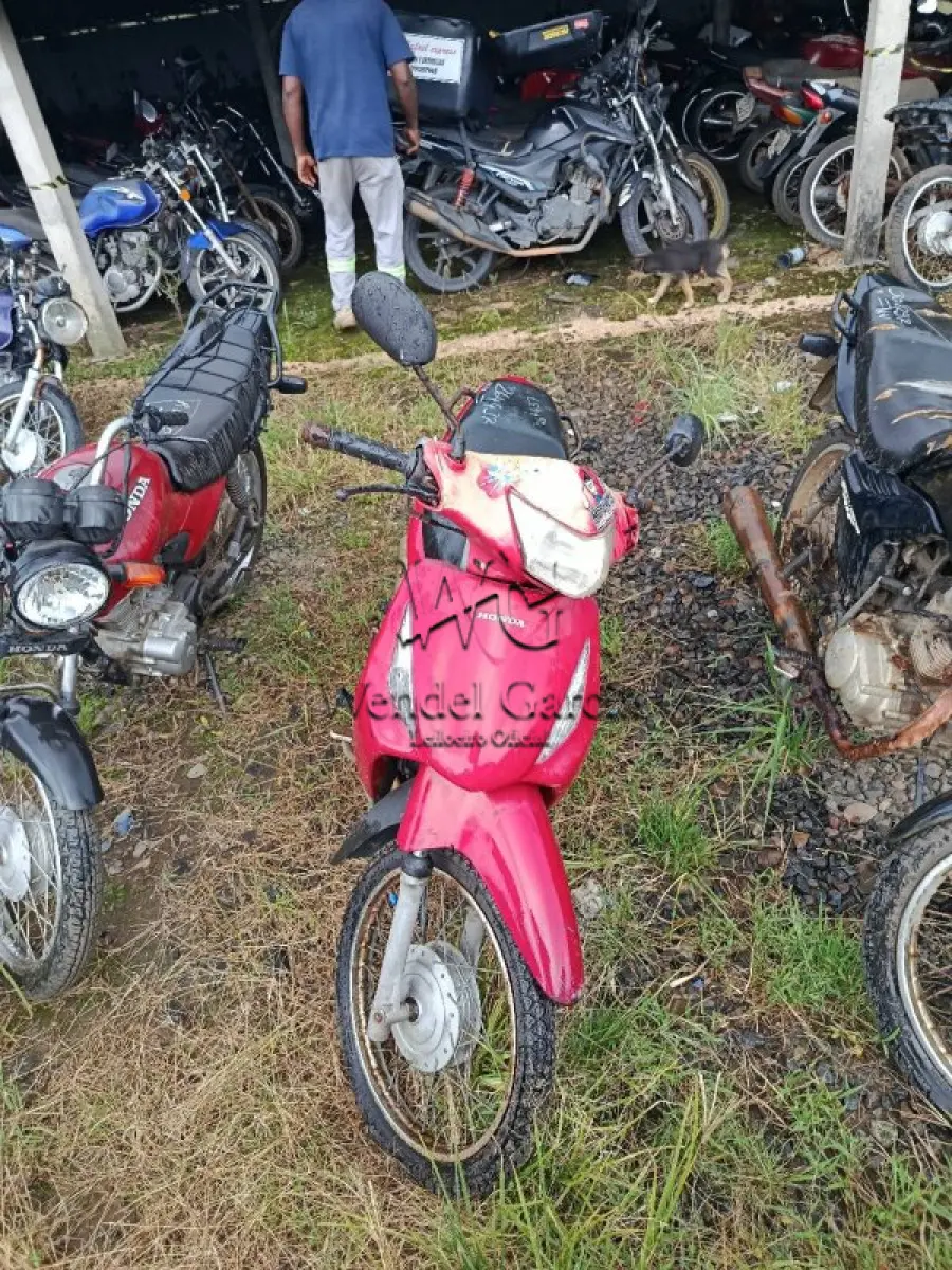 LOTE 0335