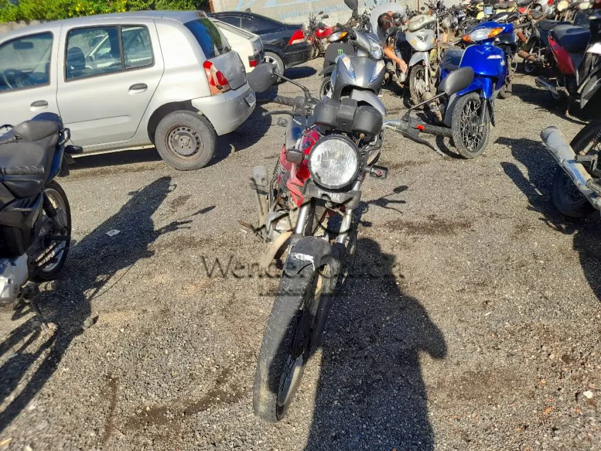 LOTE 0383