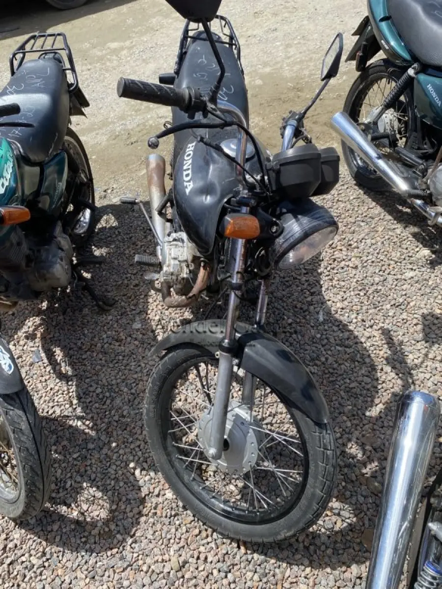 LOTE 0254