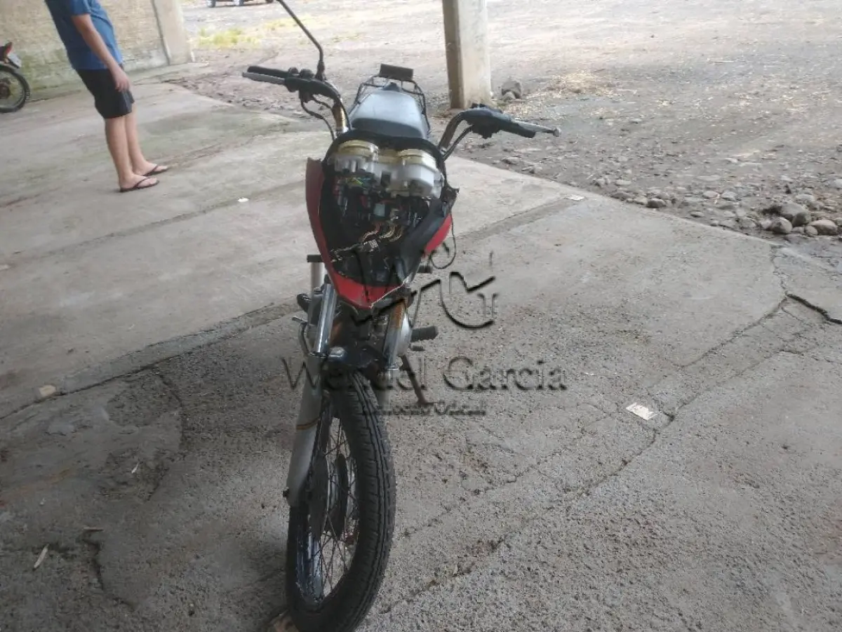 LOTE 0353