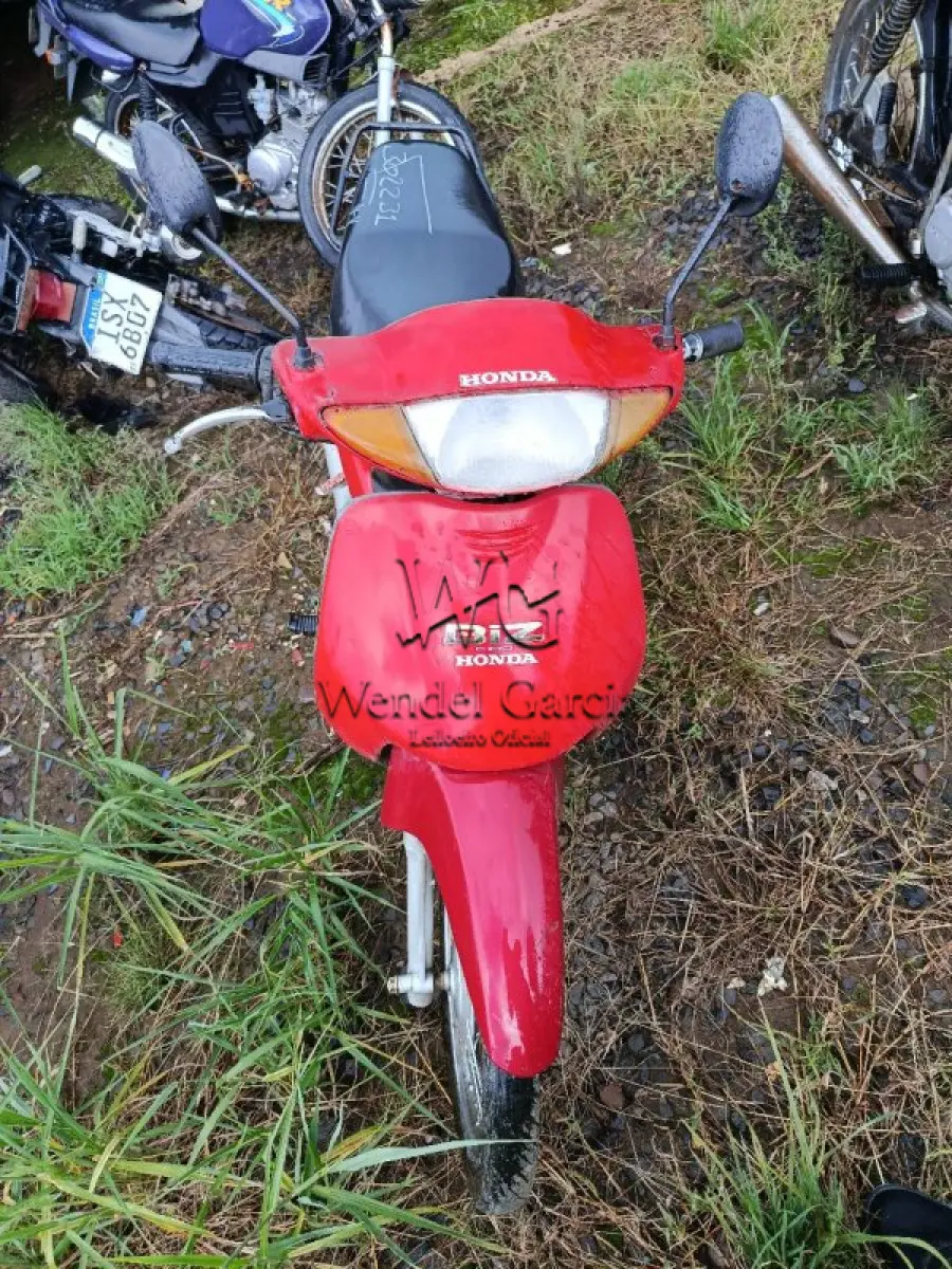 LOTE 0333