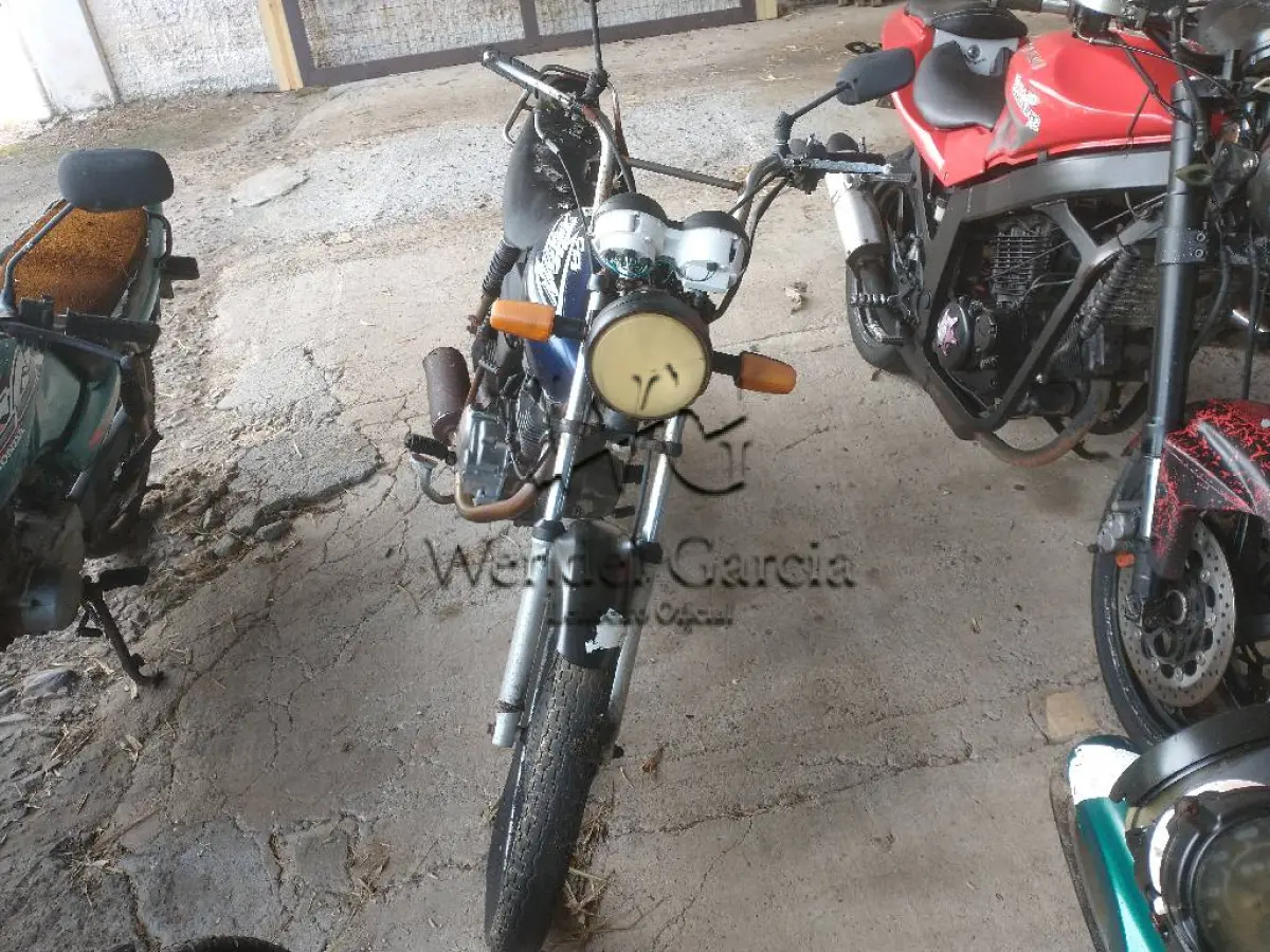 LOTE 0177