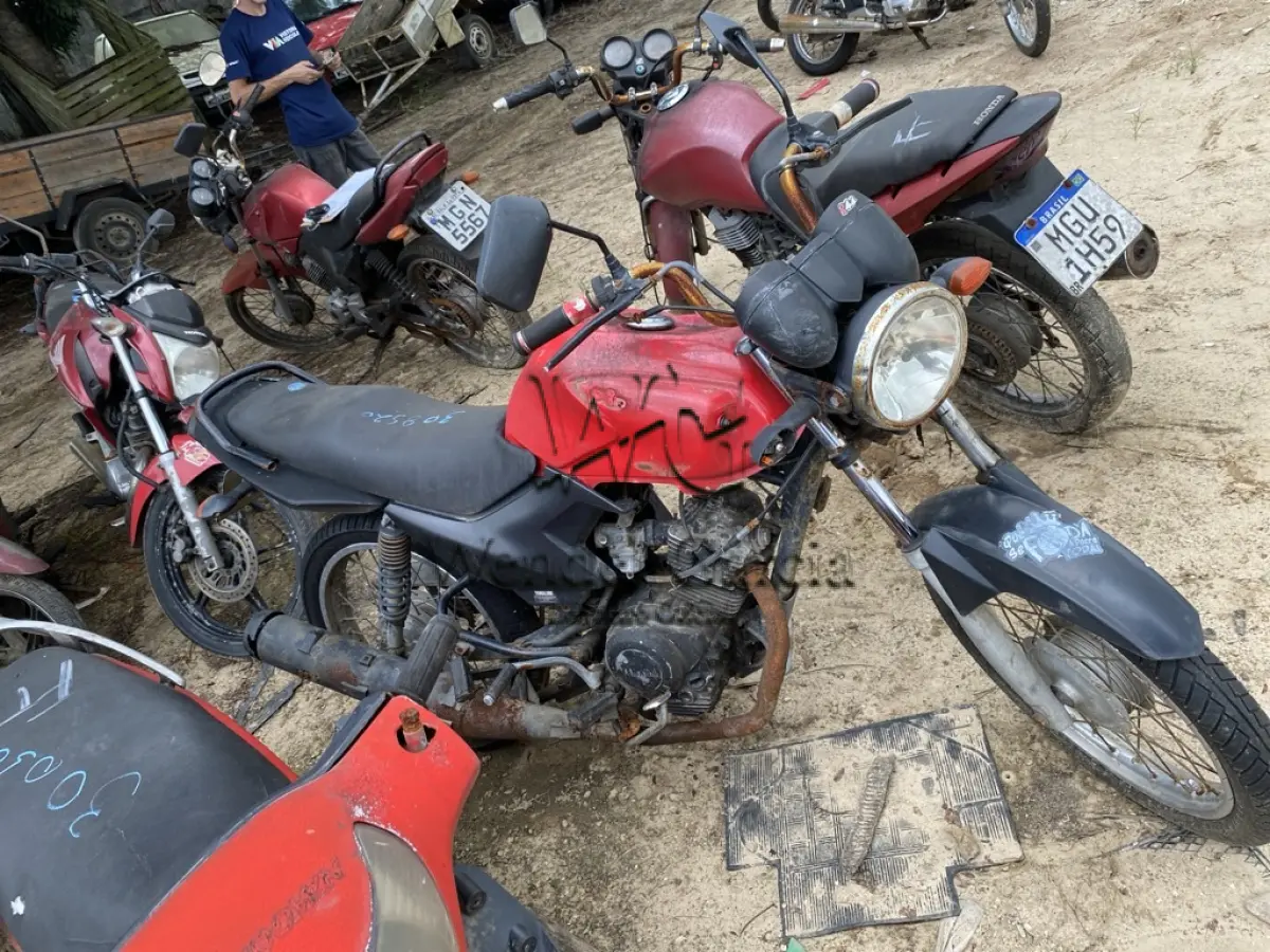 LOTE 0144