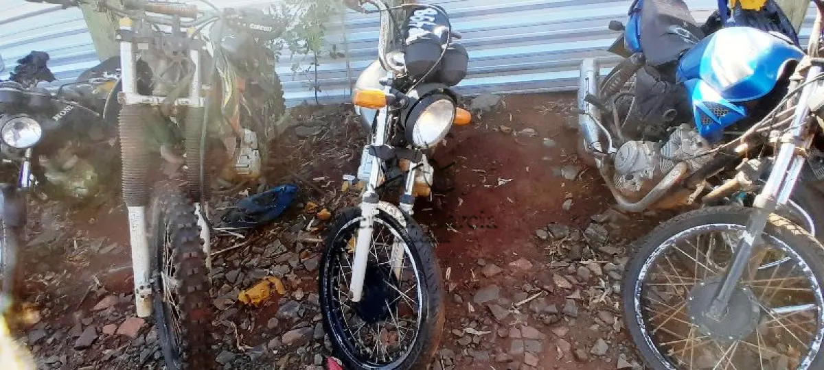 LOTE 0042