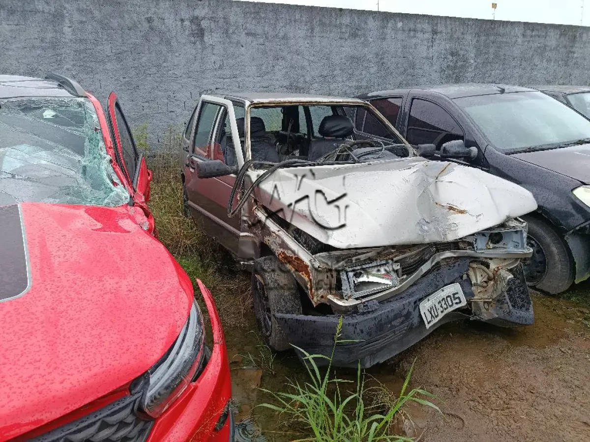 LOTE 0054