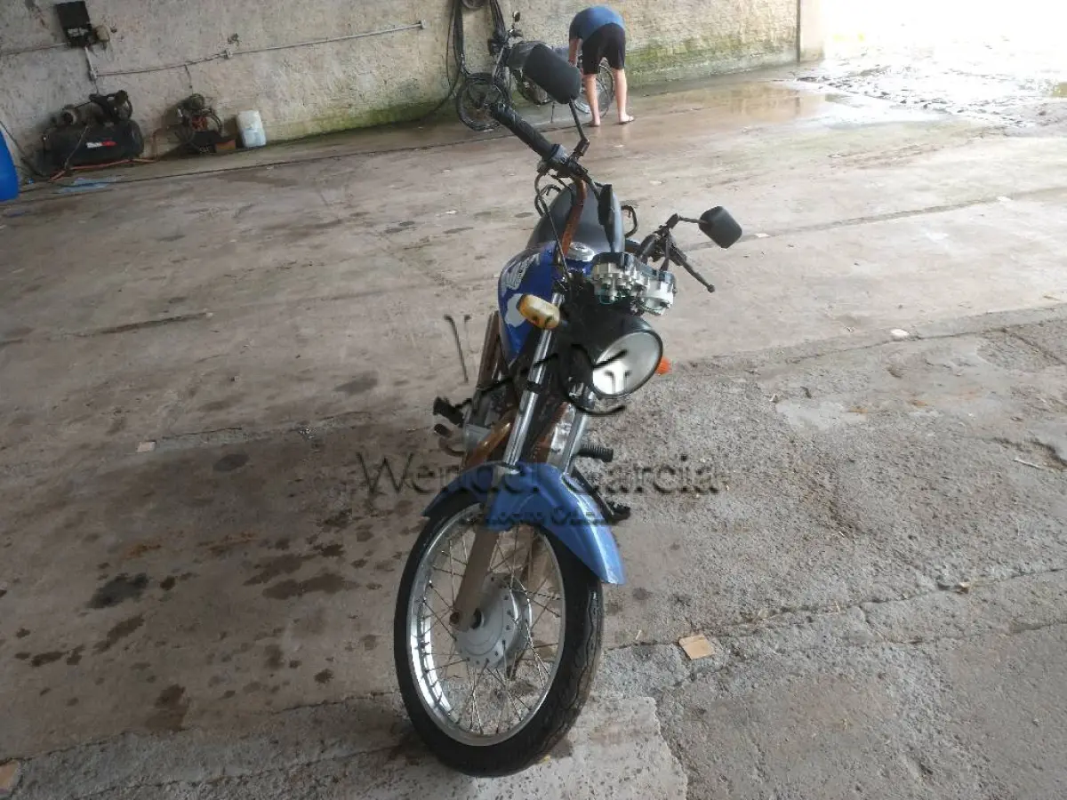 LOTE 0175