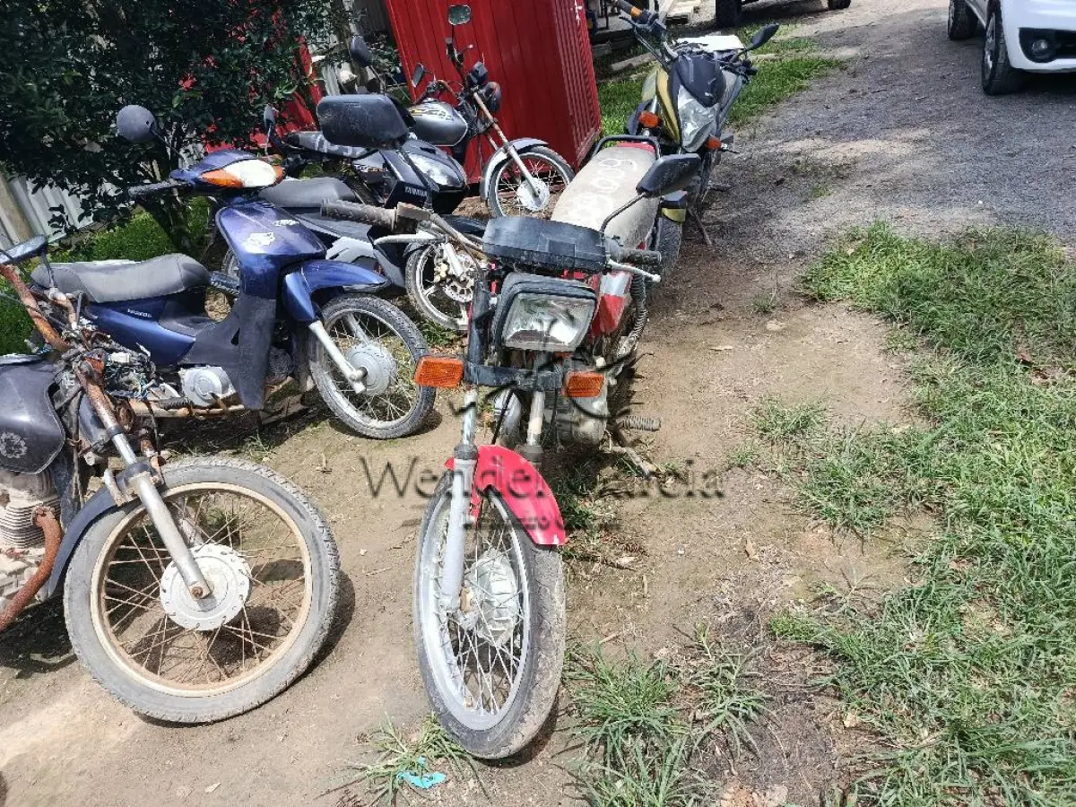 LOTE 0165