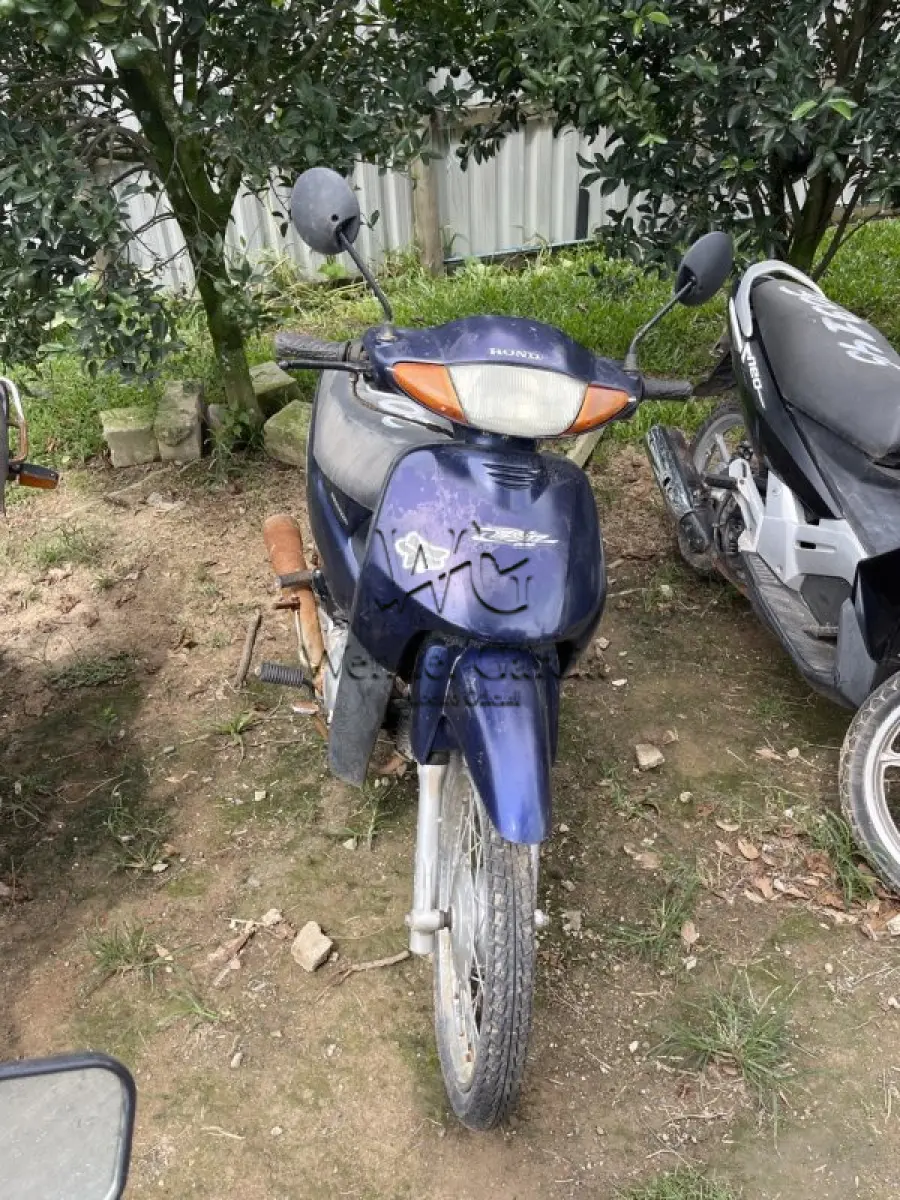 LOTE 0166