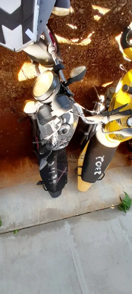 LOTE 0192