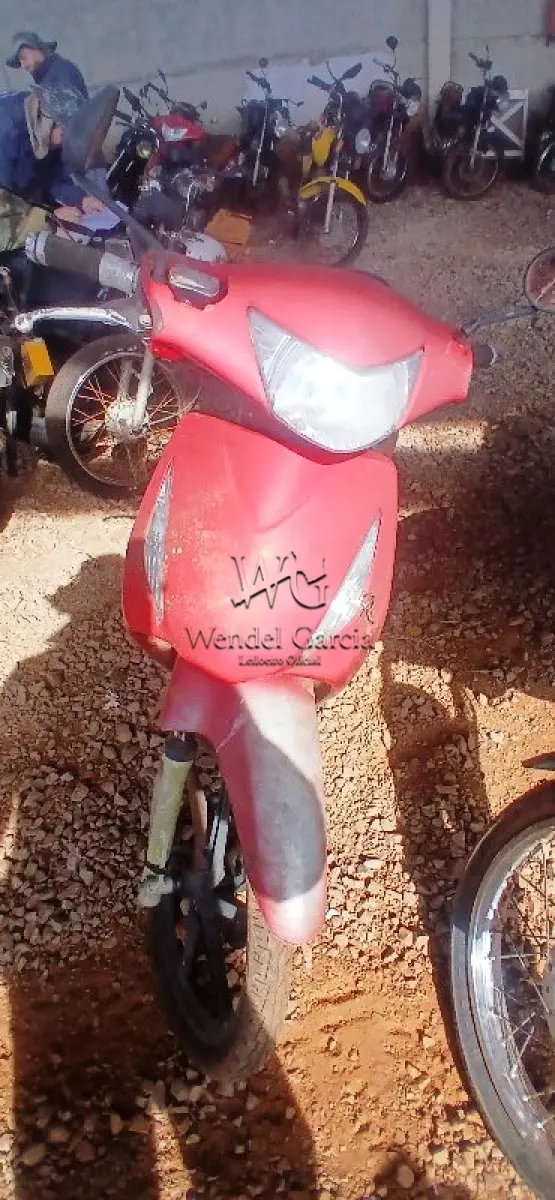 LOTE 0142