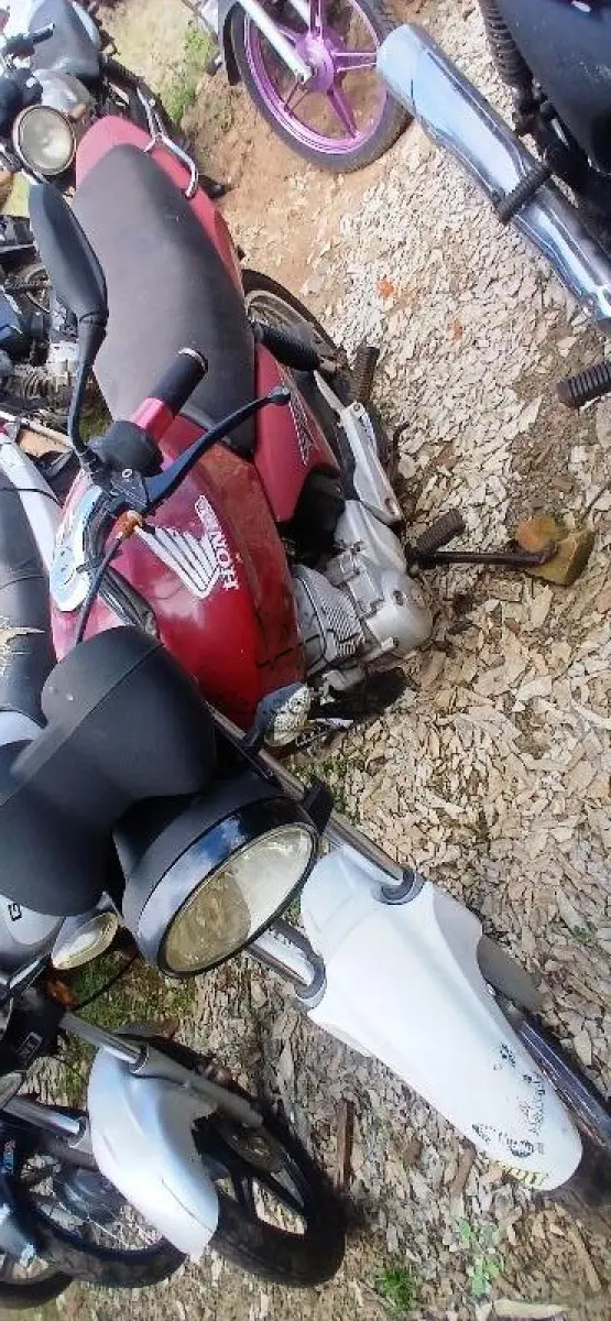 LOTE 0421