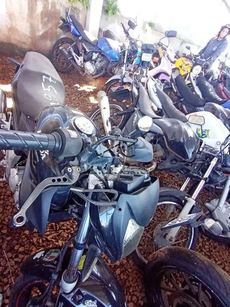 LOTE 0253