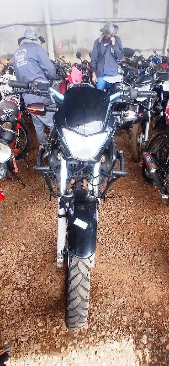 LOTE 0276