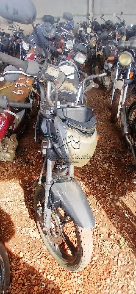 LOTE 0146