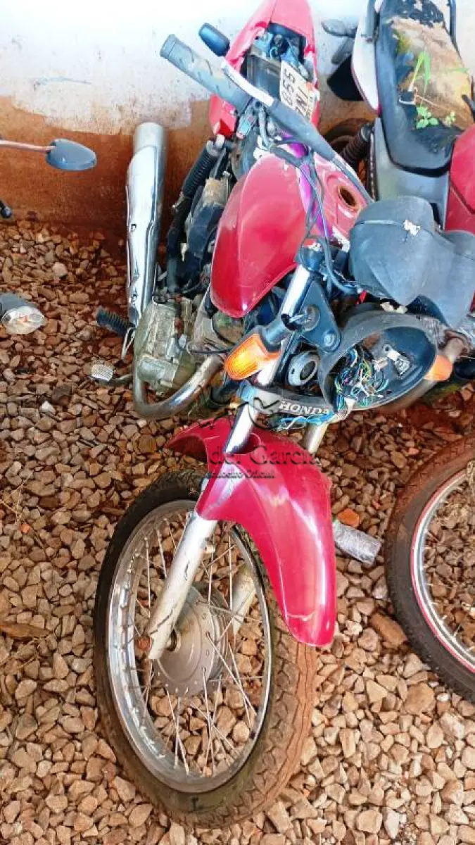 LOTE 0151