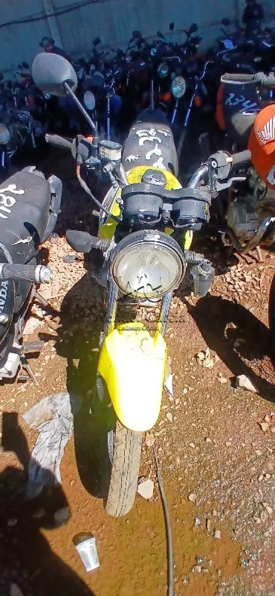 LOTE 0166
