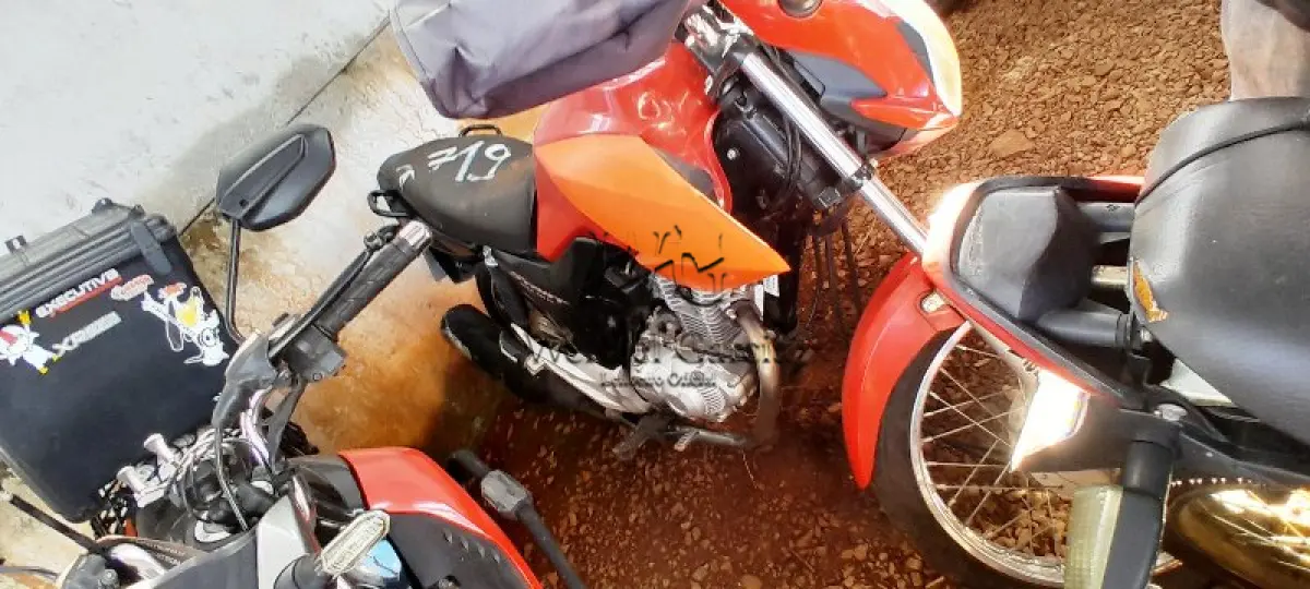 LOTE 0233