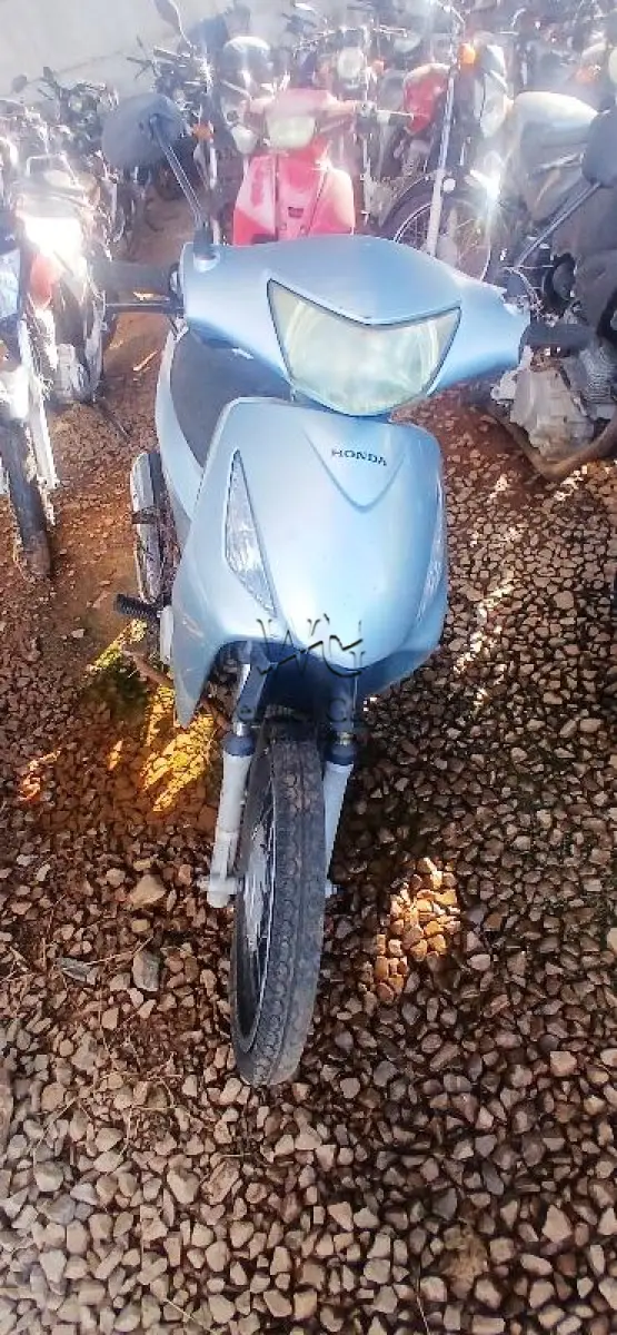 LOTE 0161