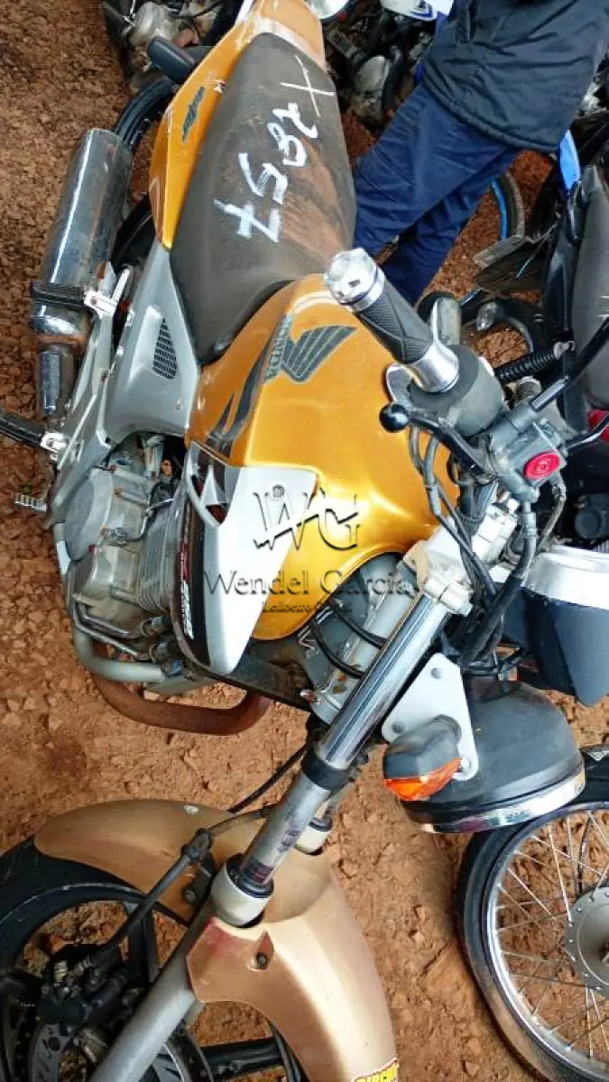 LOTE 0254