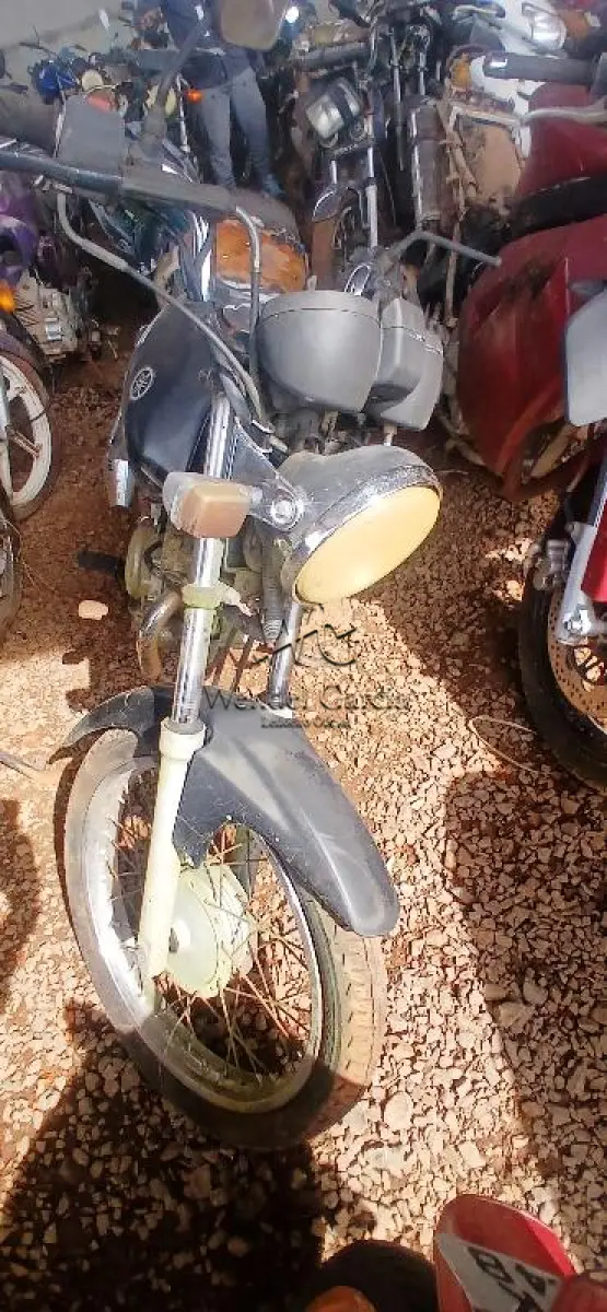 LOTE 0147