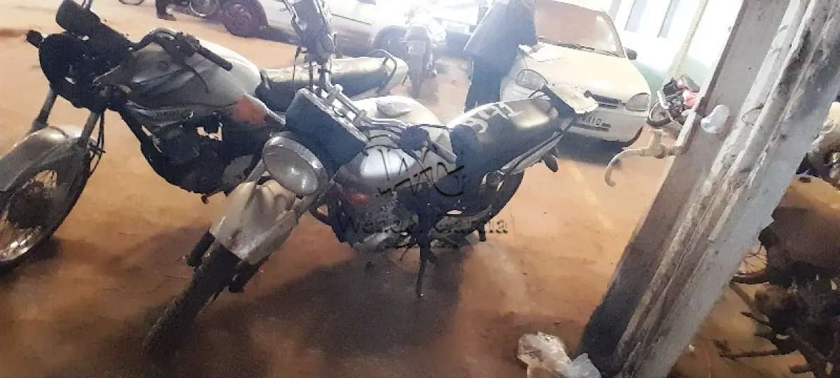 LOTE 0455