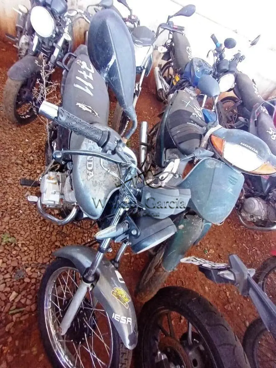 LOTE 0231