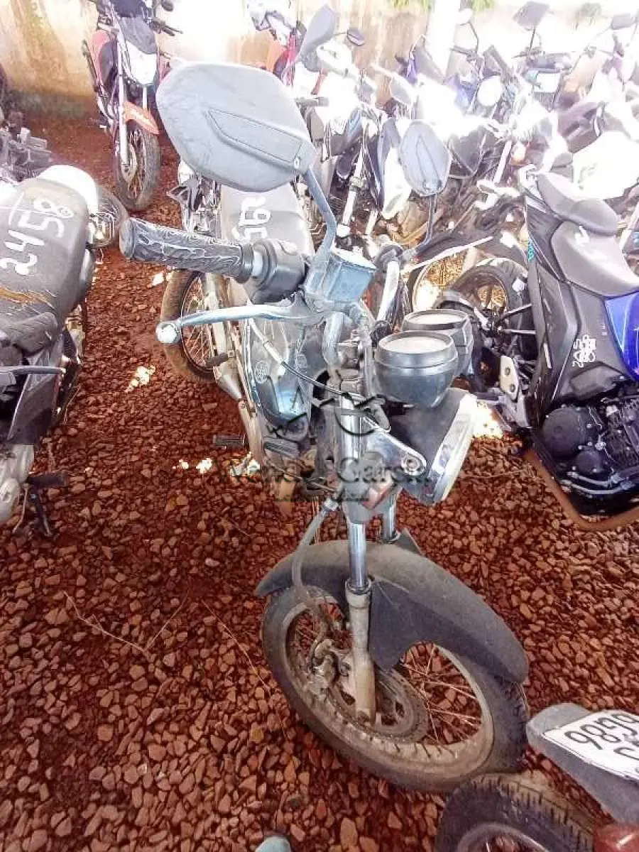LOTE 0269