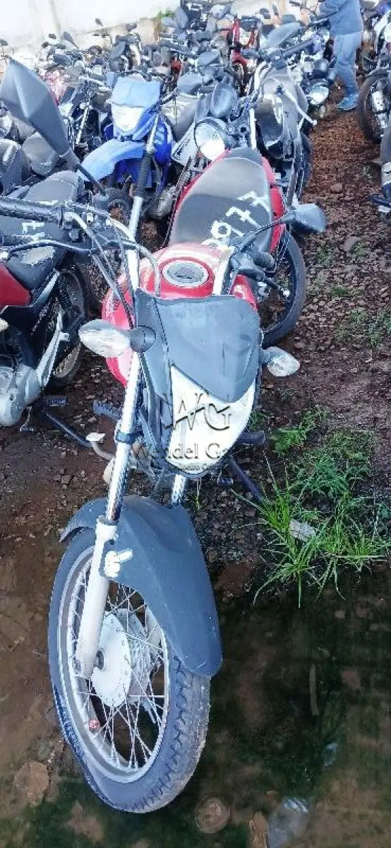 LOTE 0272