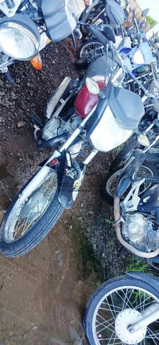 LOTE 0232