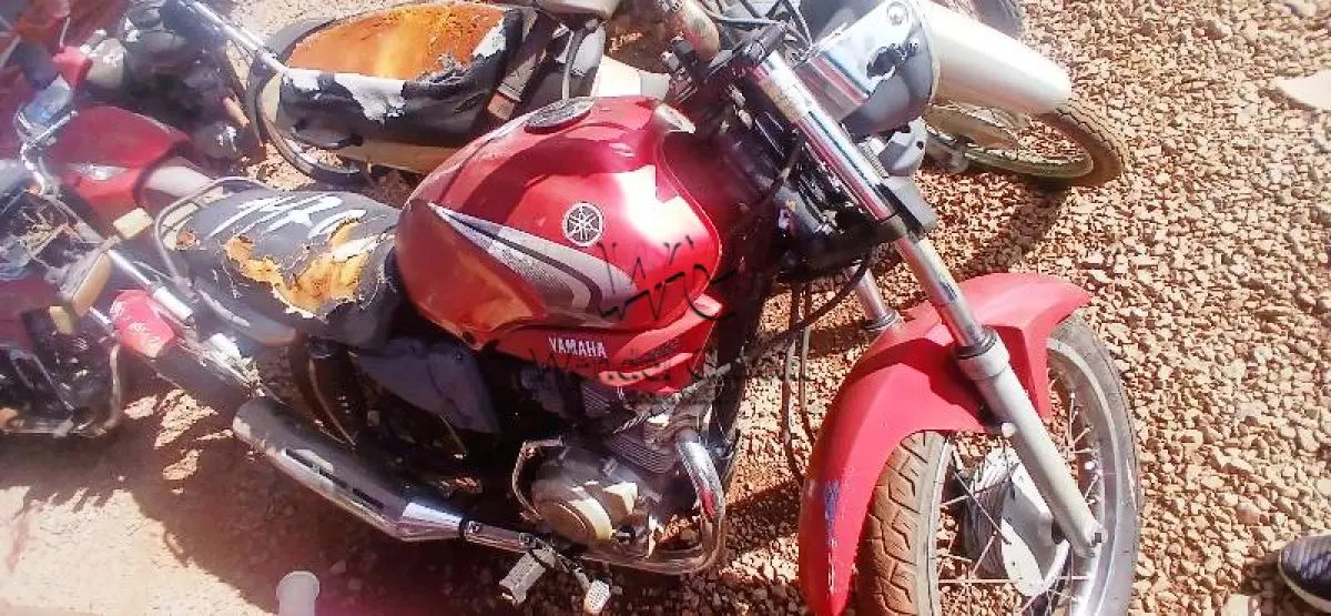 LOTE 0156