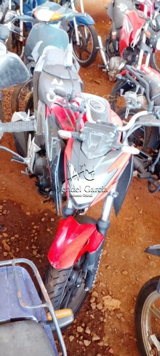 LOTE 0191