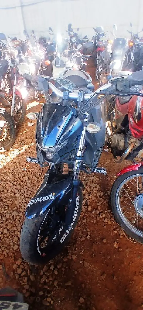 LOTE 0175