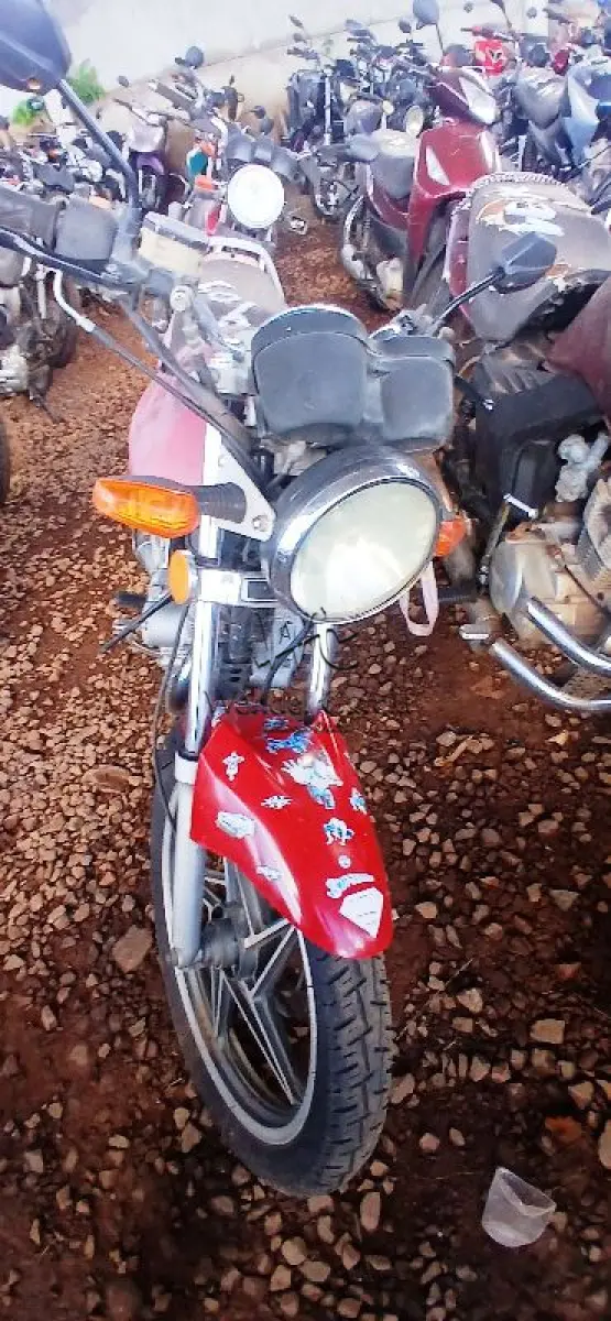 LOTE 0186