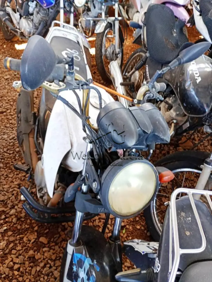 LOTE 0242