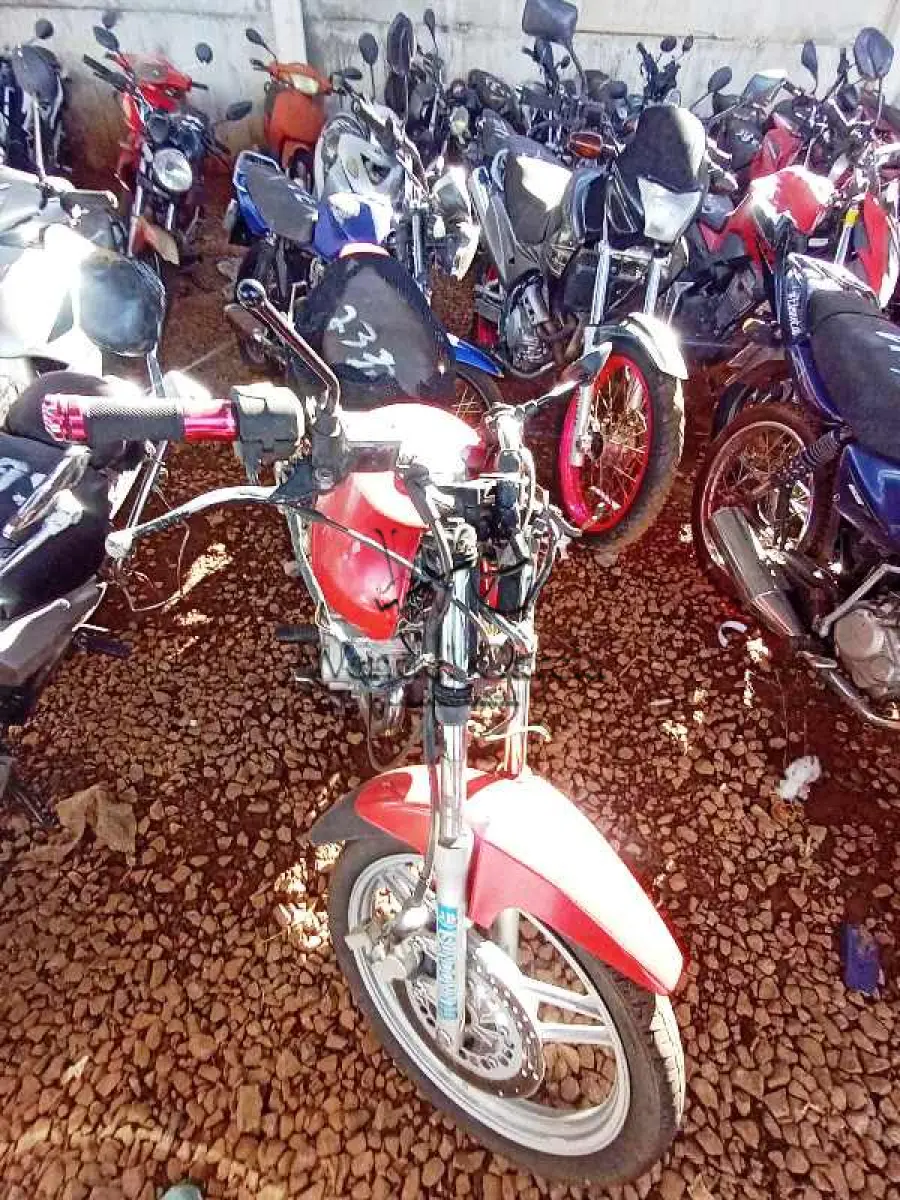 LOTE 0174