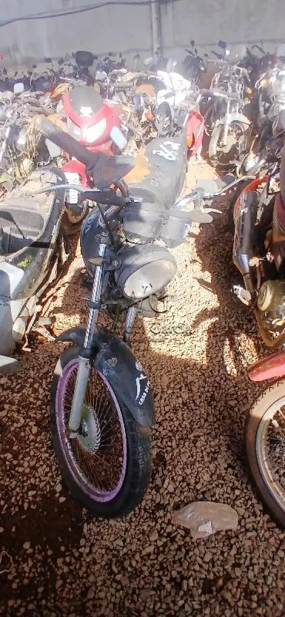 LOTE 0089