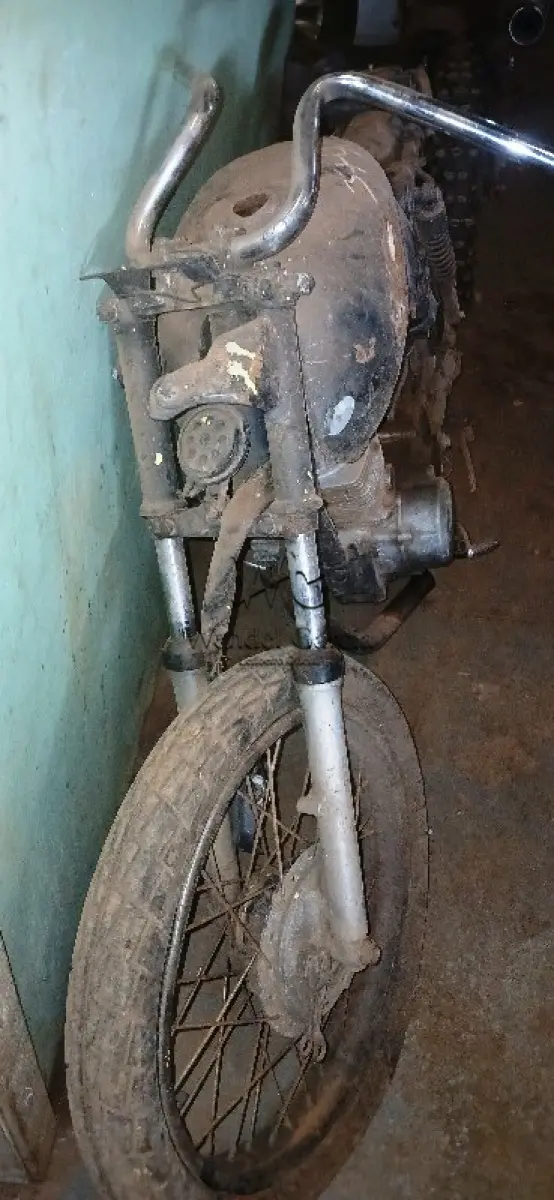 LOTE 0445