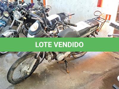 LOTE 0101 - 0101