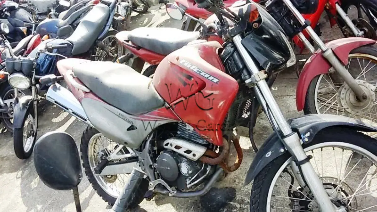 LOTE 498 - HONDA/NX-4 FALCON