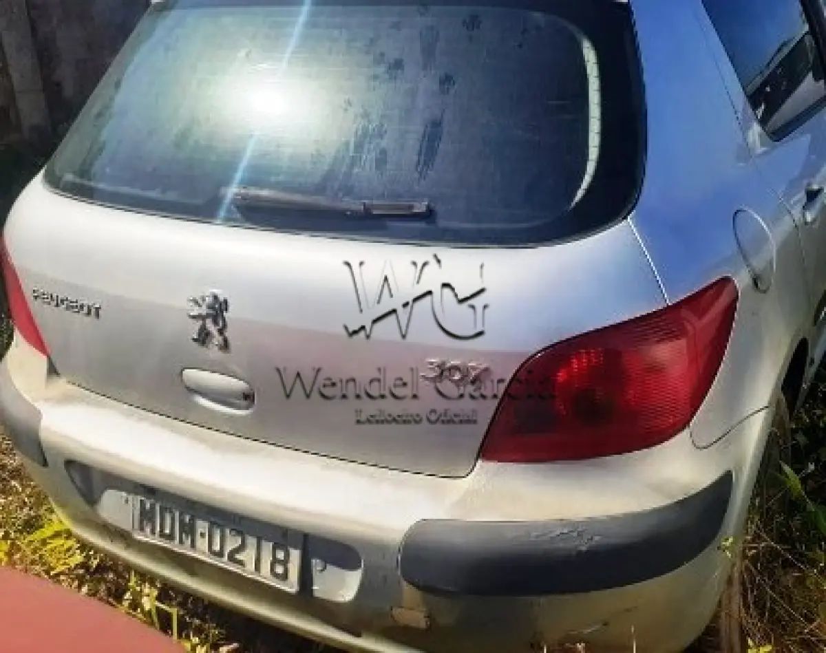 LOTE 341 - I/PEUGEOT 307 20A FELINE