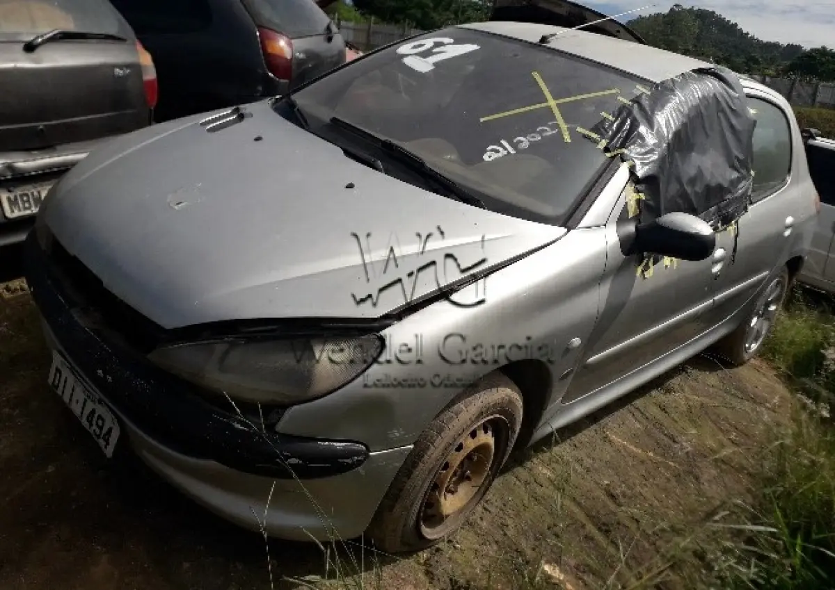 LOTE 061 - PEUGEOT/206 SOLEIL 16