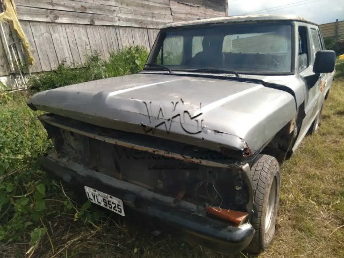 LOTE 115 - FORD/F1000S